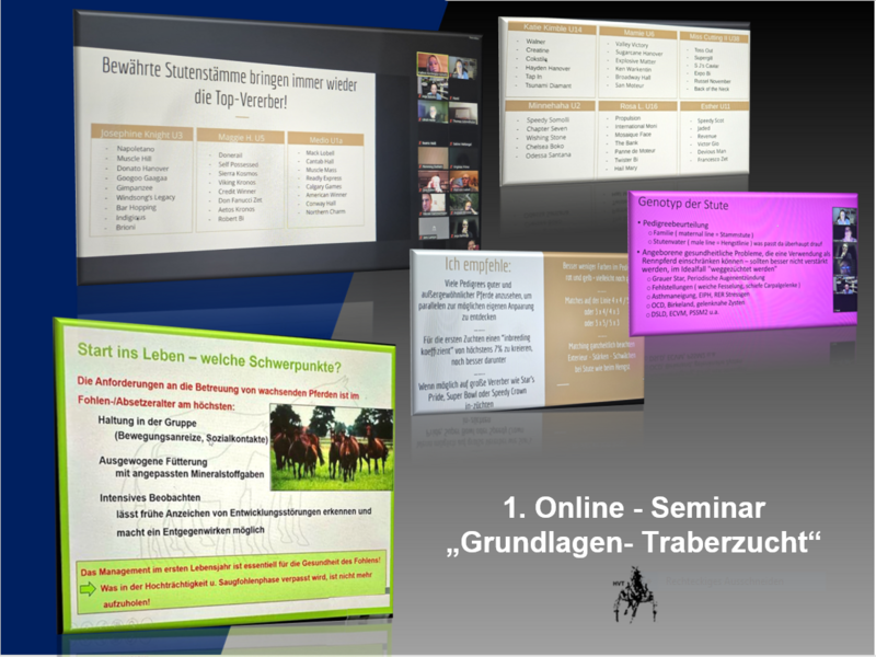 1. Online-Seminar