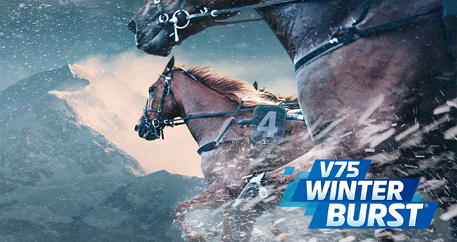 V75 Winter Burst Zwei Deftige Ausreisser Trabrennsport Aus Aller Welt Info Stall Mein Trabrennsport De