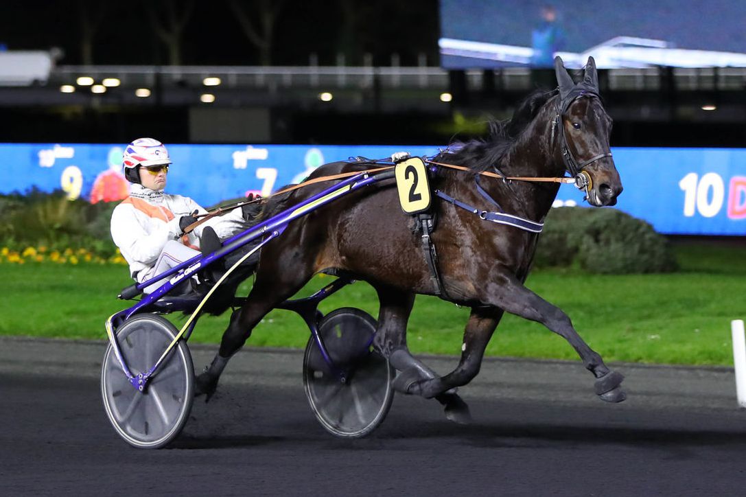 Django zahlt heute 53210! / Trabrennsport aus aller Welt / Info / Stall meintrabrennsport.de