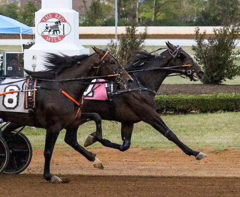 10-8-23-Tac-Approach-KY-Futurity-e1696807697363