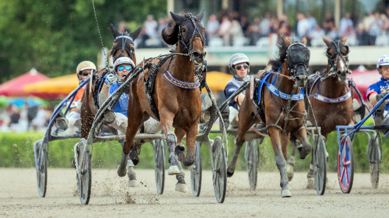 2024-08-18 Nachschau