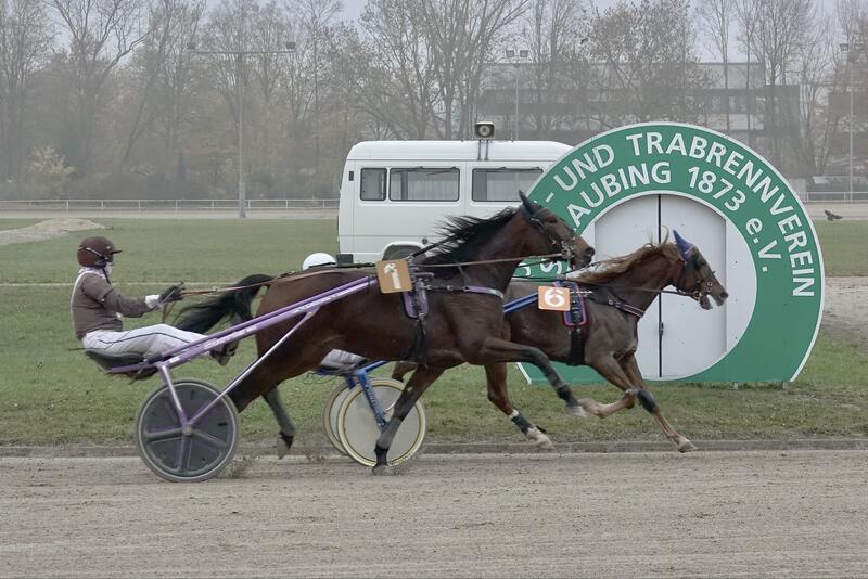 2025-11-09_nachschau_Bild1 2025-11-09_nachschau_Bild1