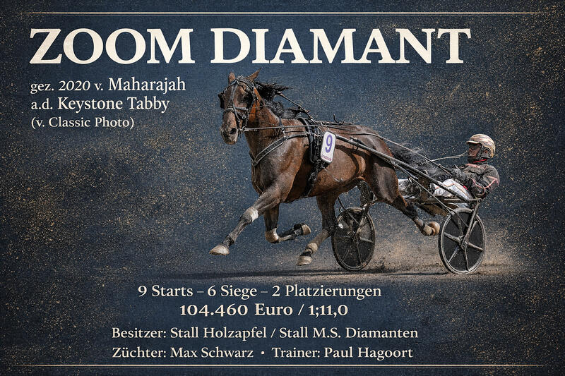 2025 Zoom Diamant