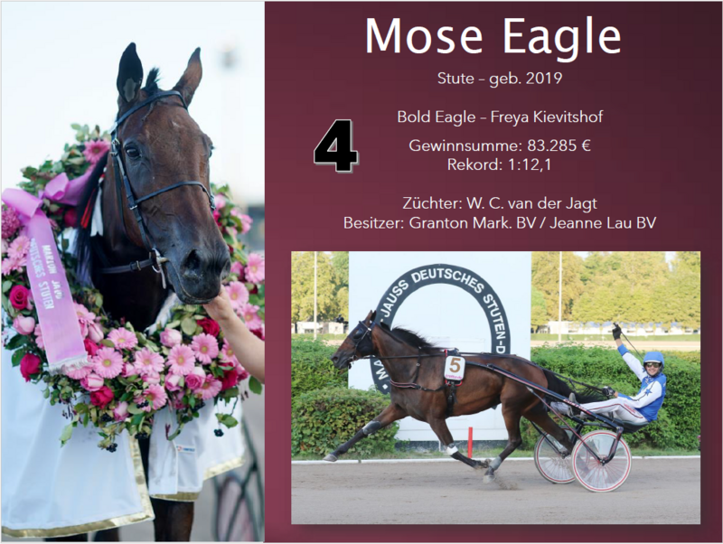 4 Mose Eagle