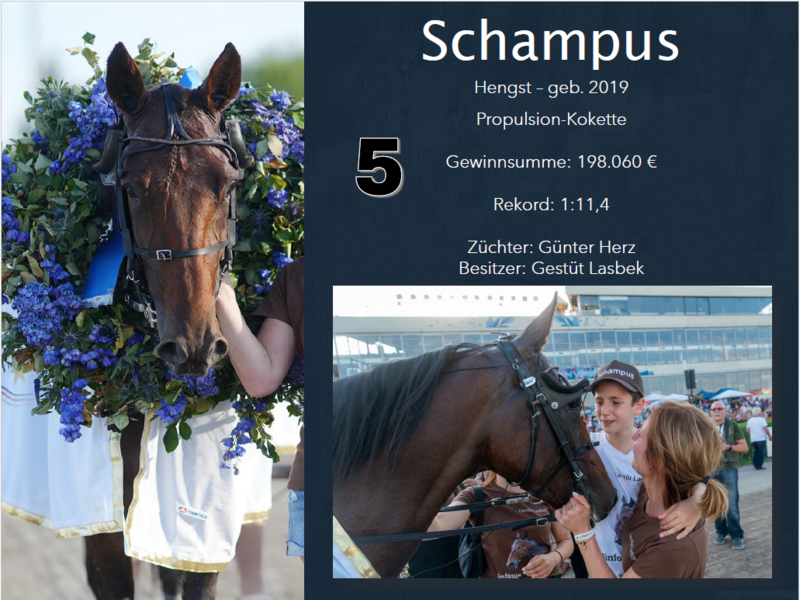 5 Schampus