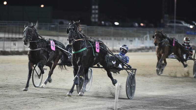 608192336_1408532134616181_2617918611668730875_n