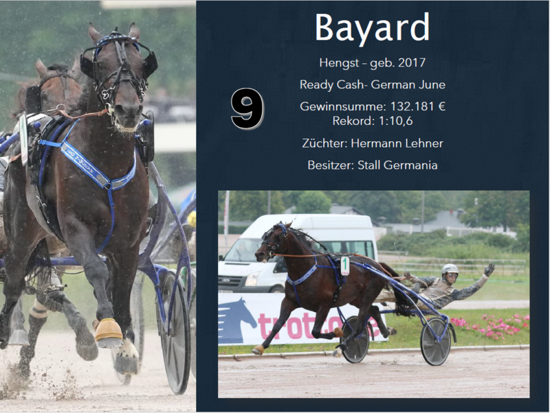 9 Bayard