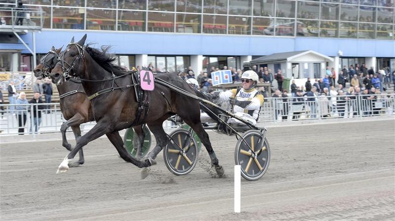 Ã–nas prince mÃ¥l (1)