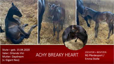 Achy-Breaky-Heart