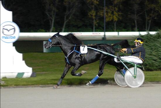 ALDATO Beckemeyer Helmut snipped