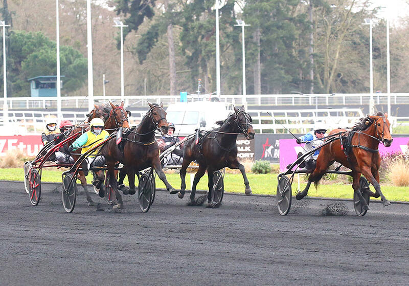 ampiamedesmarrivee-okactuslider-12fe23