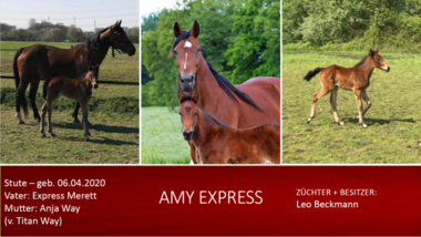 Amy-Express