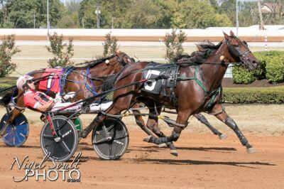 Annabelle Hanover