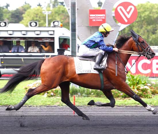 Arlington Dream Einlauf