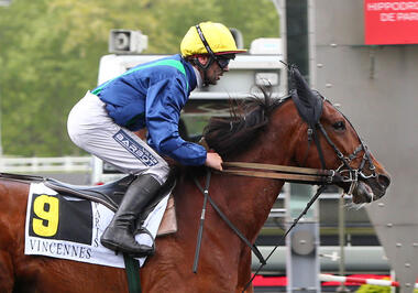 Arlington Dream