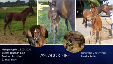 Ascador-Fire