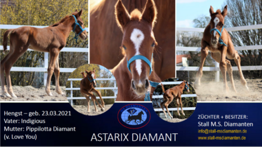 Astarix Diamant