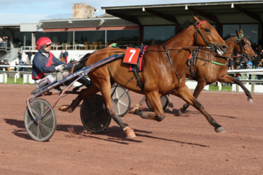 aubrion-argentan-jpg