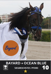 Bayard
