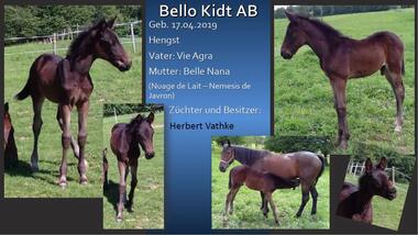 Bello Kidt AB