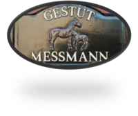 Bild1