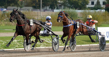 Björn Spangenberg und Pinaki Foto Marius Schwarz