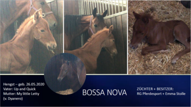 Bossa-Nova