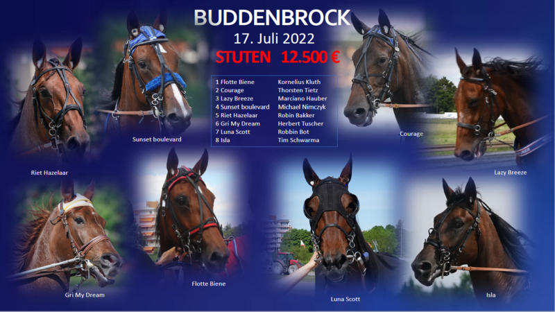 Buddenbrock Stutenlauf