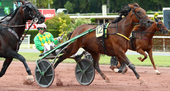 Calaska du Guez