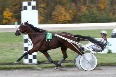 Cash Hanover St. Leger