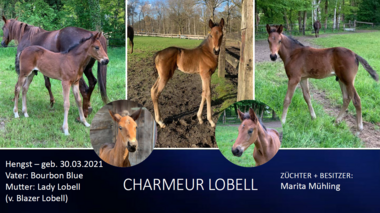 Charmeur Lobell