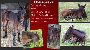 Chesapeake 2