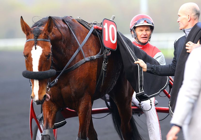 Chica de Joudes sagt „Adieu“ / Trabrennsport aus aller Welt / Info