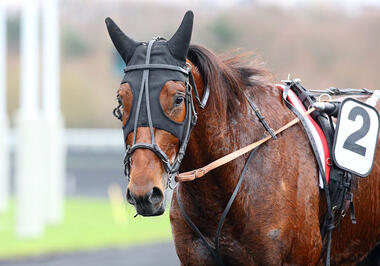 cleangame_joinville_cagnes