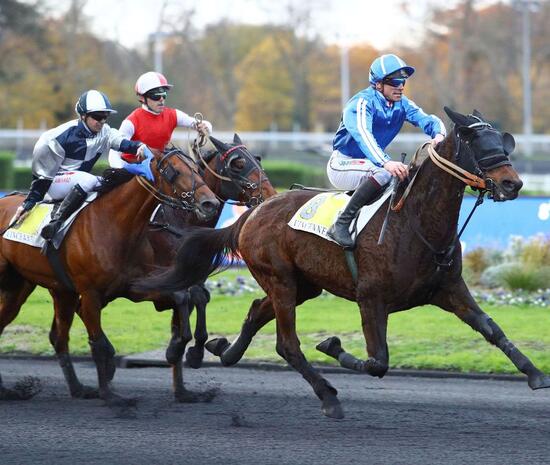 Clegs des Champs