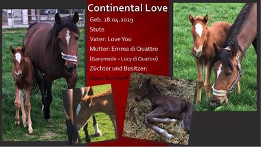 Continental Love