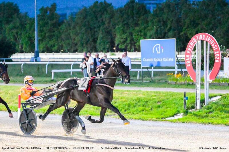 Corsa3_GRAN-PREMIO-TINO-TRIOSSI