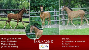 Courage-KT