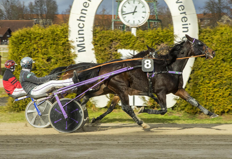 Crazy GaaGaa RL_Z201125F