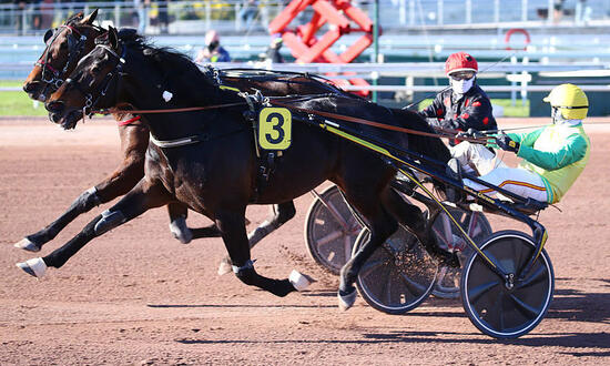 Criterium ViItesse_01_Aprh_opt_opt_opt_opt