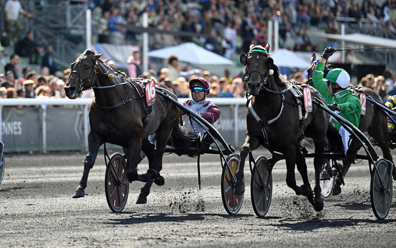 criterium5ans1-scaledartikelbild-1280