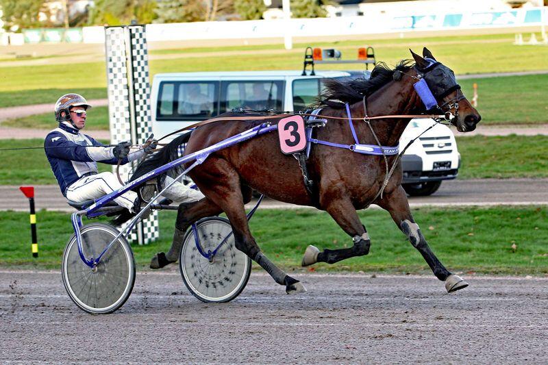 csm_Waldgeist_Robbin_Bot_HH_2025-11-30_us__4__9231a180f6