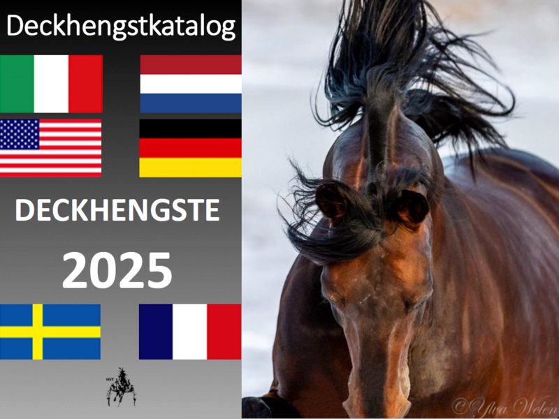 Deckhengste