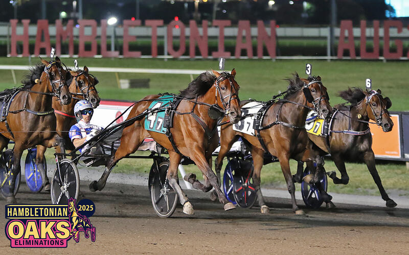 Delaney Hanover Oaks 1 VL