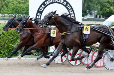 Derby Einlauf