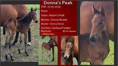 Donna's Peak