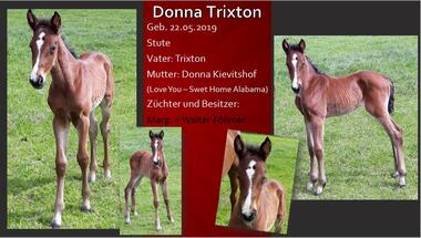 Donna Trixton