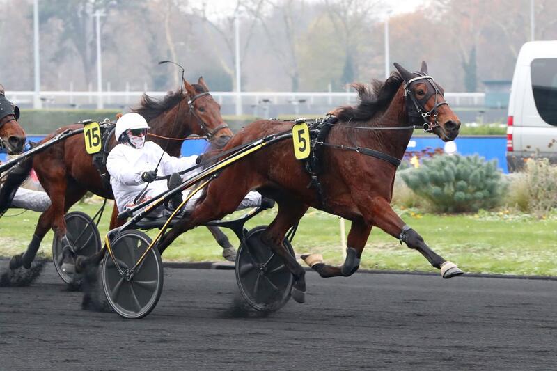 DONT SAY GAR - Vincennes 18 décembre-2e697b92-7edd-11ed-84f5-96e0e7dcbd1b