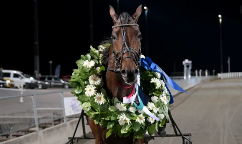 Dream Mine 1 Dream Mine 1