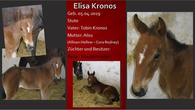 Elisa Kronos